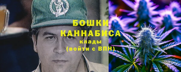 спиды Богданович